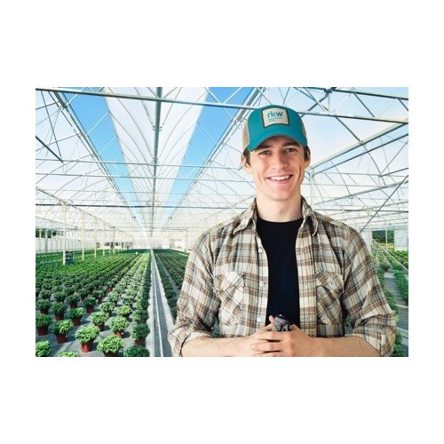 FOLIE SOLAR RKW GERMANIA - 180 µ