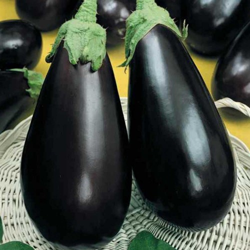 Semințe de vânătă - Mirval F1