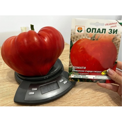 Seminte de tomate Inima de Bivol Gigant