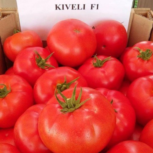 Kiveli F1