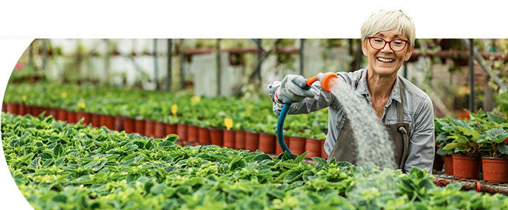 femeie in varsta care uda plante in ghivece